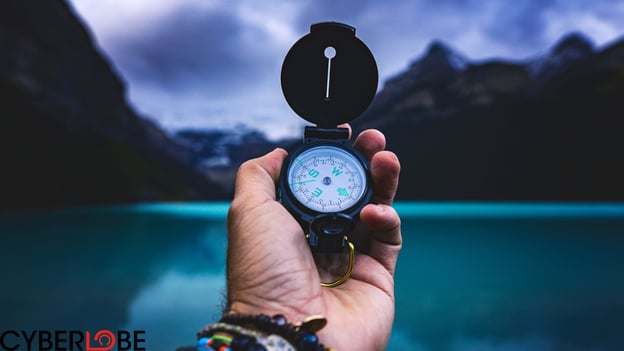The Role of Independent CRM Consultants