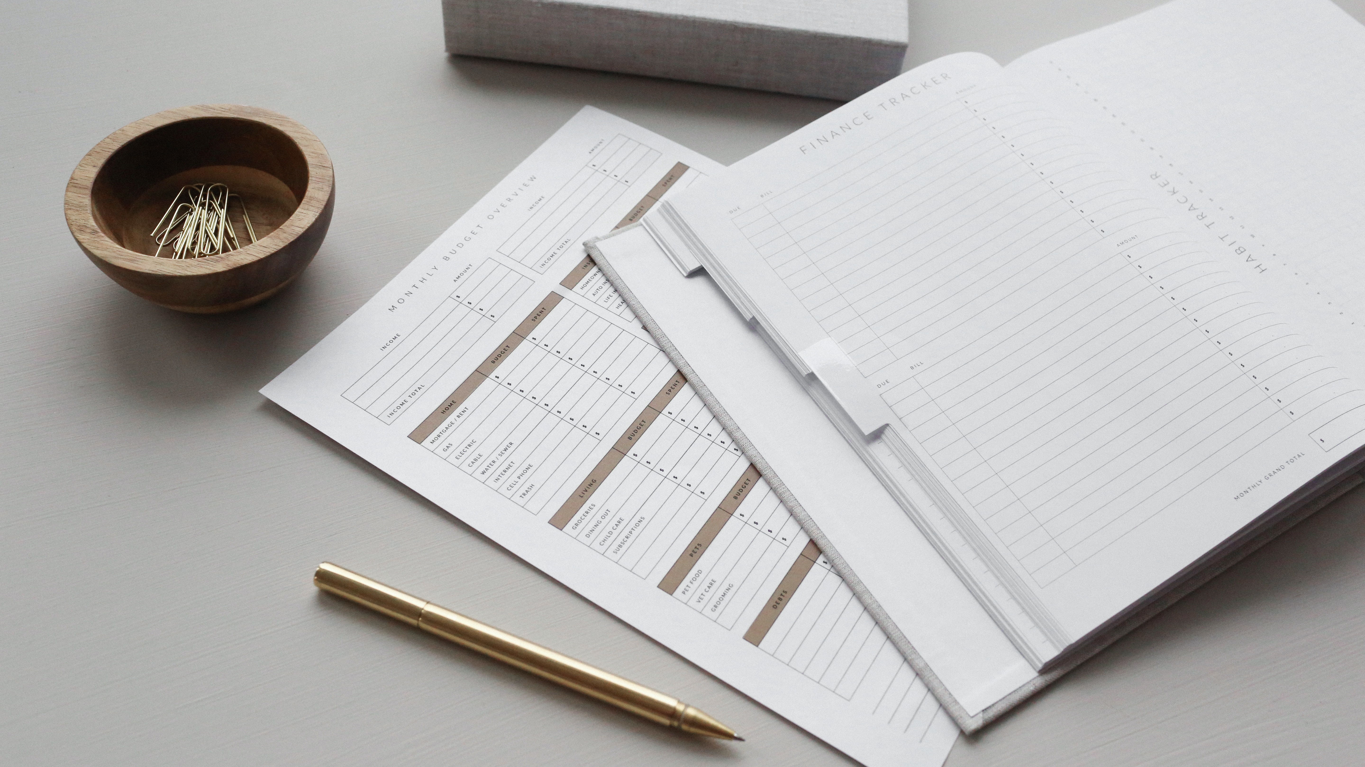 business tech audit
